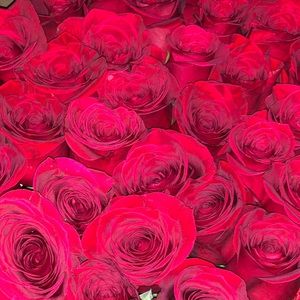 Meet your Posher, Martin